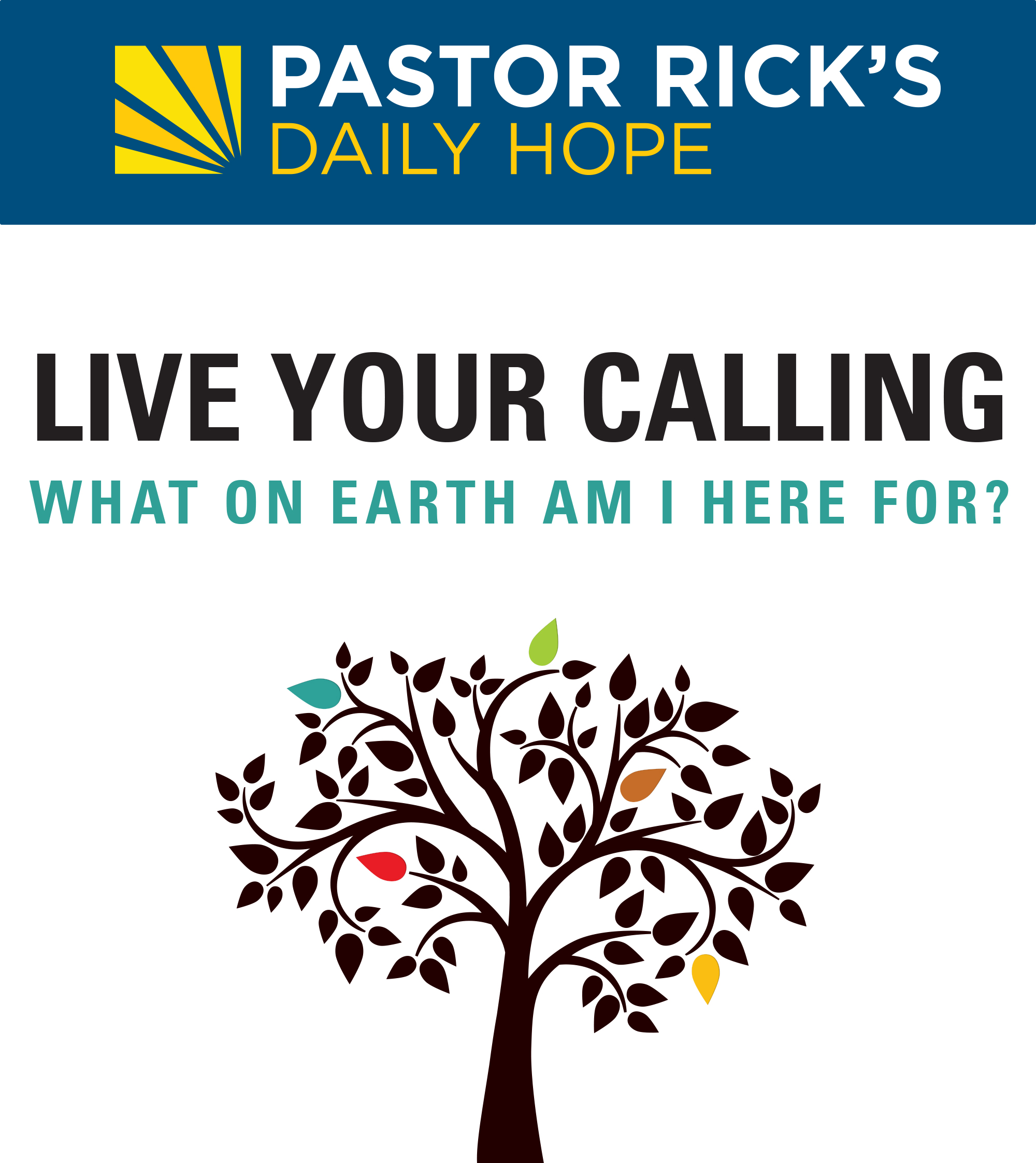 Live Your Calling - What On Earth Am I Here For?