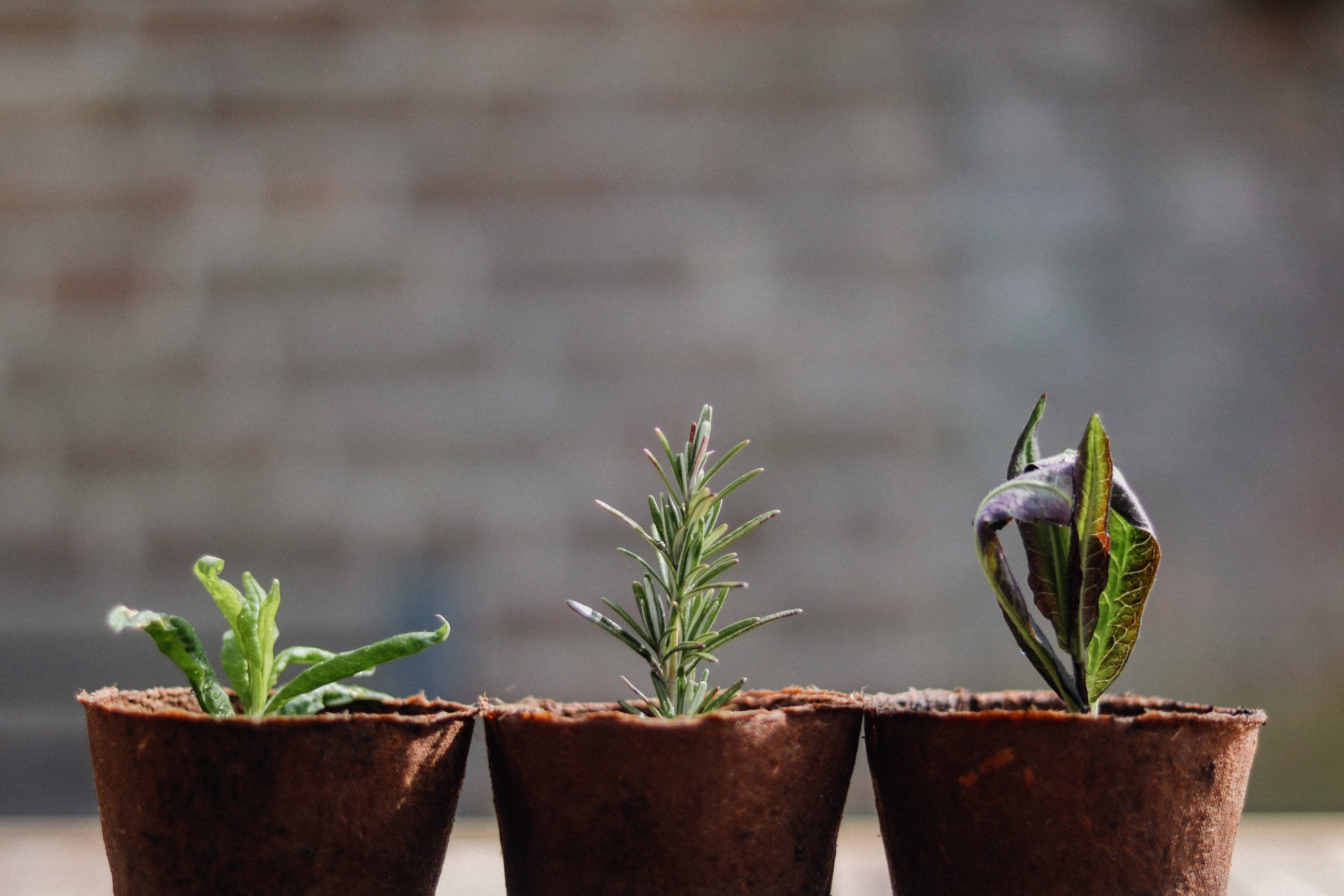 Five Small Group Values That Encourage Spiritual Growth