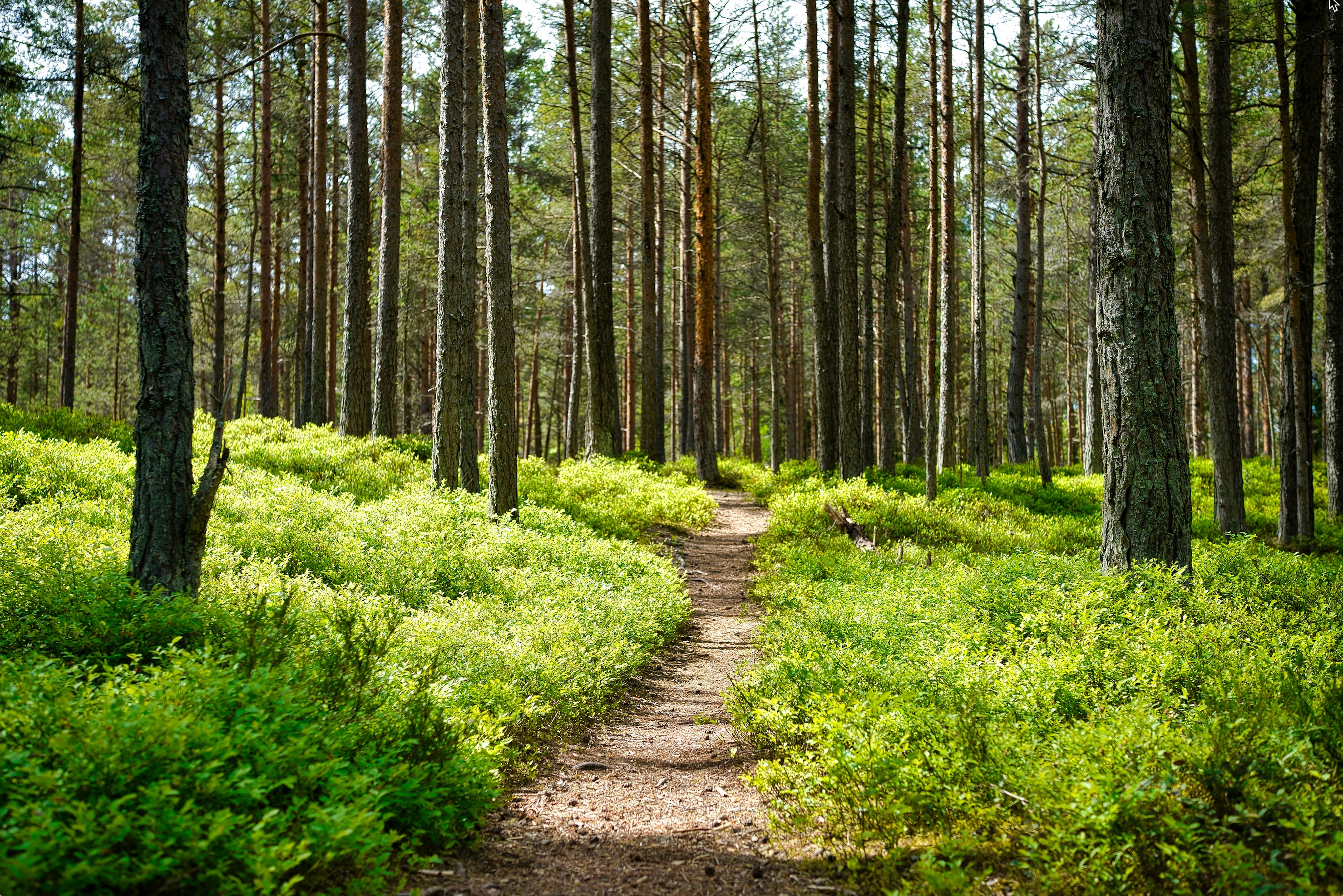 Walking a Different Path—and Why It’s Worth It